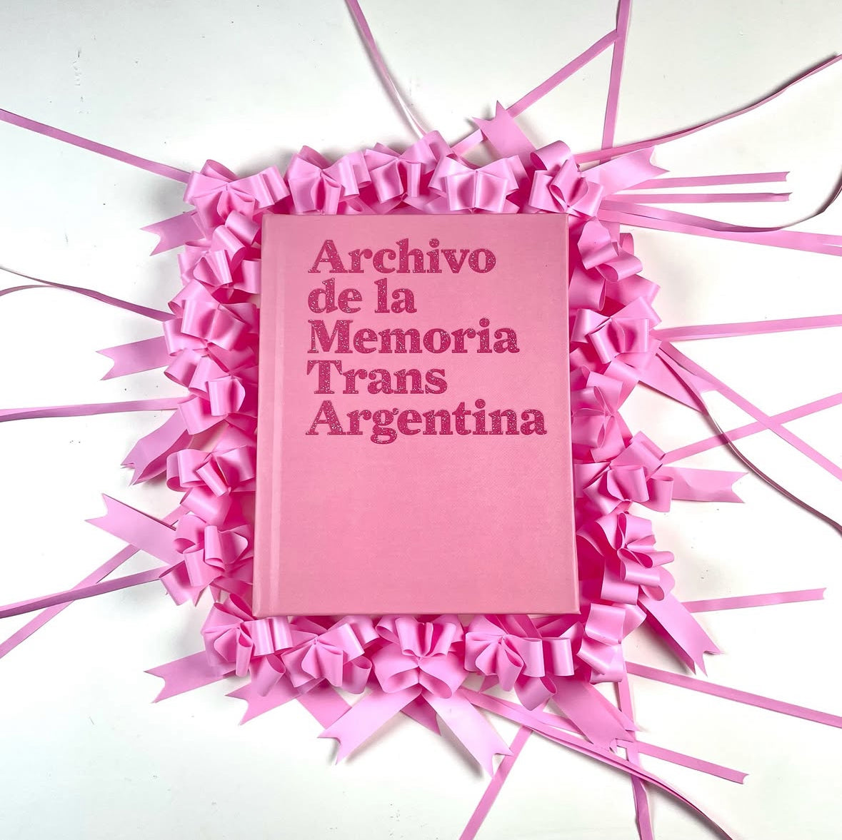 Archive of the Argentinian Trans Memory