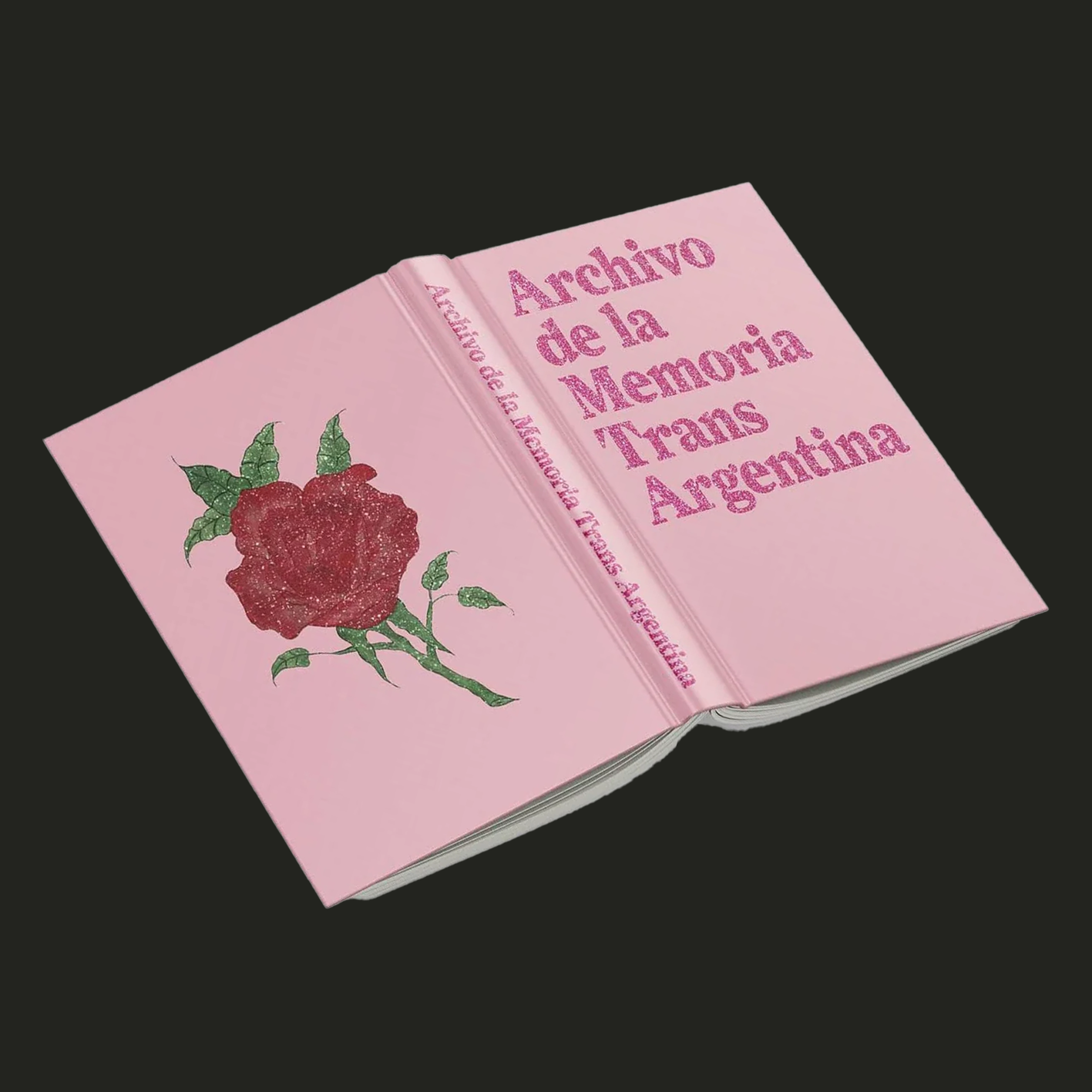 ARCHIVE OF THE TRANS MEMORY - ARGENTINA